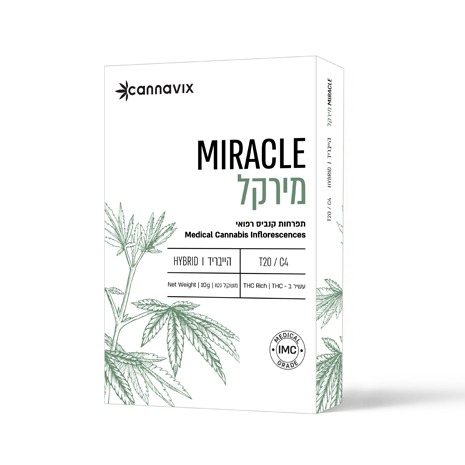 Cannavix Miracle תפרחות T20/C4 הייבריד